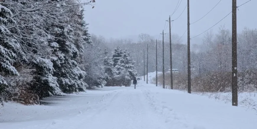 Active Winter Weather Brings Snow, Wind, Cold to End Work Week