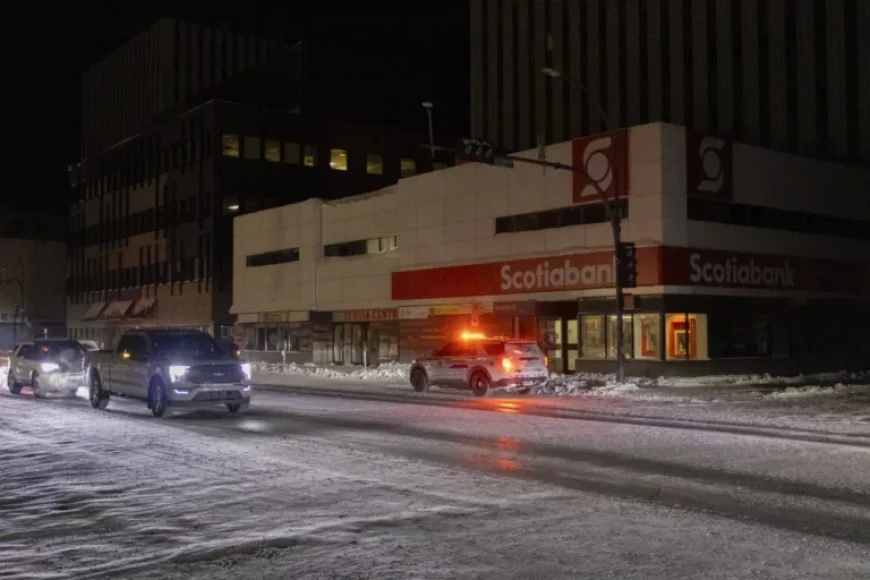 Wildlife Interaction at Jackfish Suspected in Major YK Power Outage