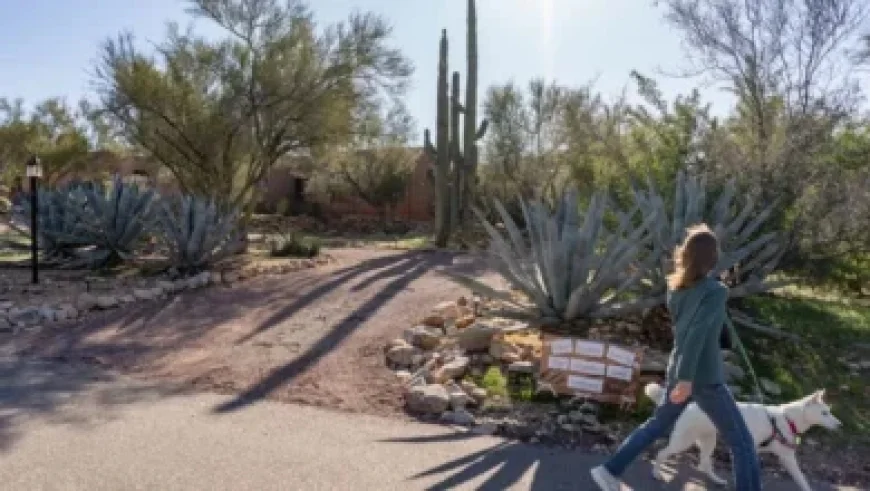 Utah, Italy, and France Collaborate in Historic Winter Games Partnership