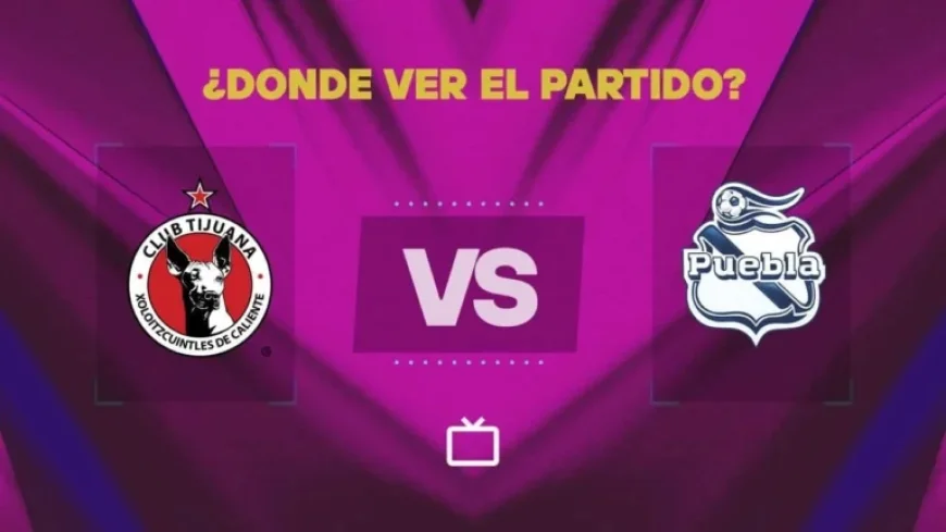 Xolos vs Puebla Live: Watch Liga MX Match Free Today