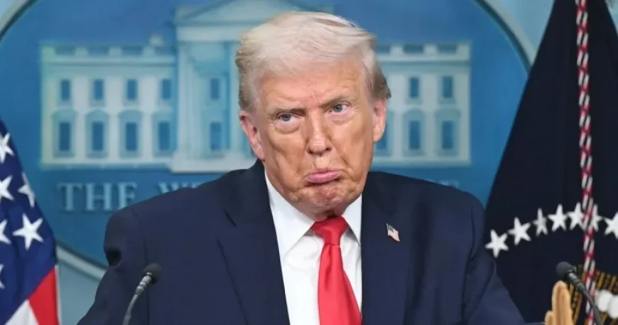 Trump’s Policies Drastically Reduce International Visitor Numbers