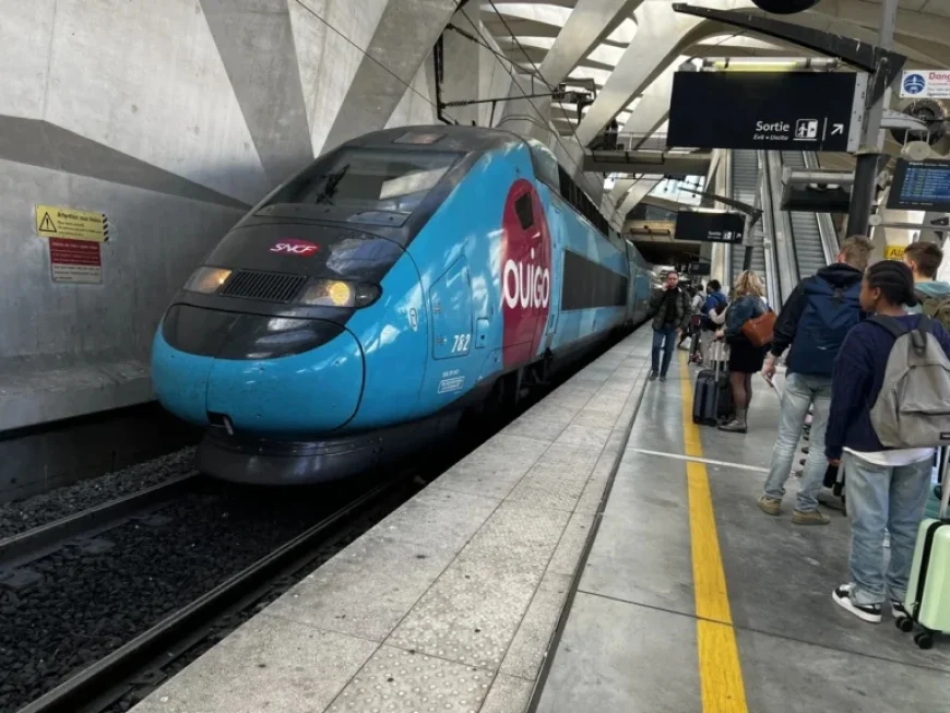 Lyon: Ill Passenger Causes Chaos on TGV, Sparks Legal Action