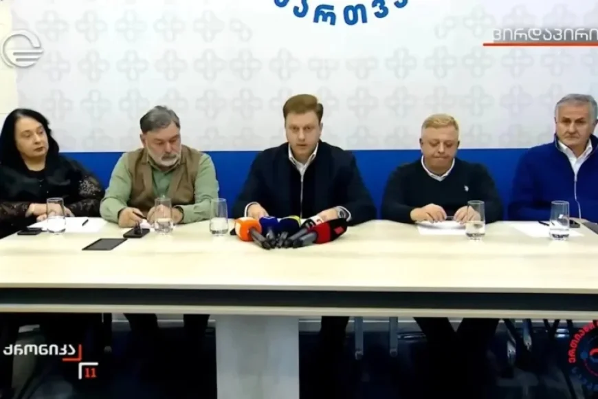 Georgian Dream Ally Urges EU Integration Discussion