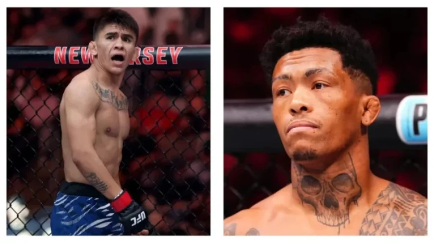 UFC Fight Night: Bautista vs Oliveira Preview and Top Betting Tips