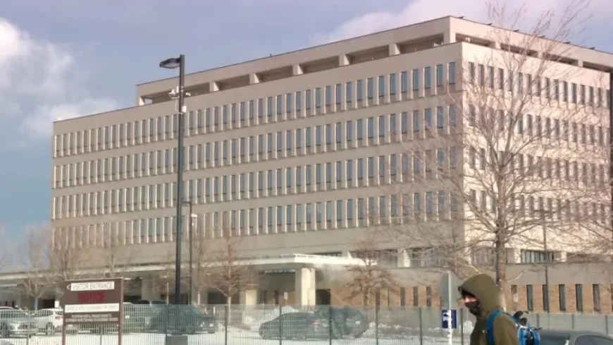 Over 50 Arrested Outside Whipple Building After Deputy Struck in Head