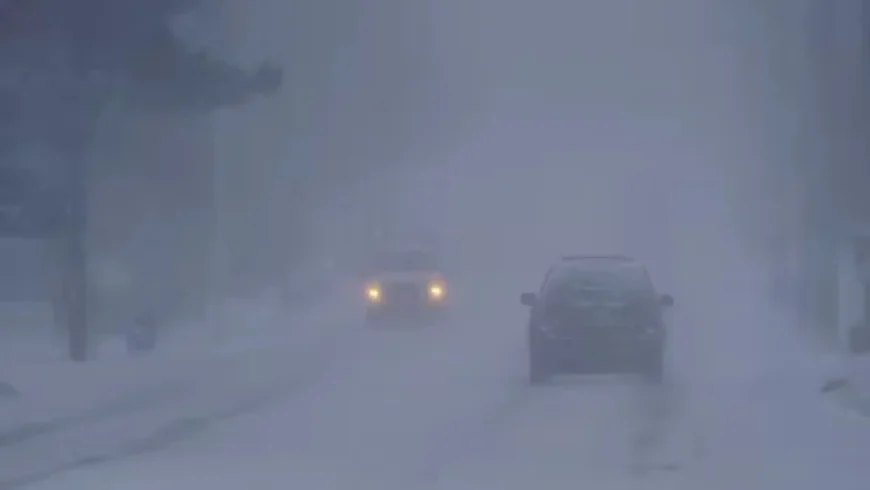 Blizzard Strikes Southwestern Ontario, Forcing Multiple Road Closures