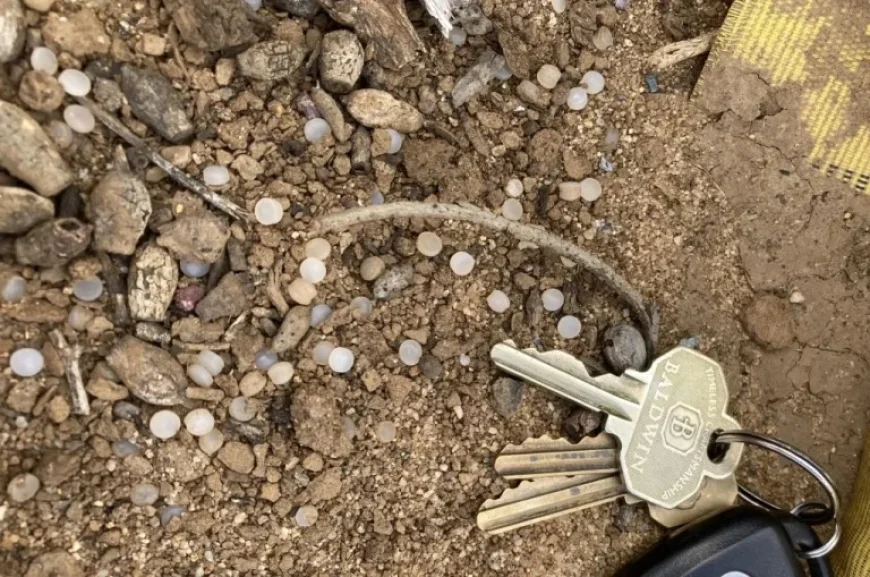 Settlement Reached to Contain ‘Nurdles’ Spill Along San Diego Railroad