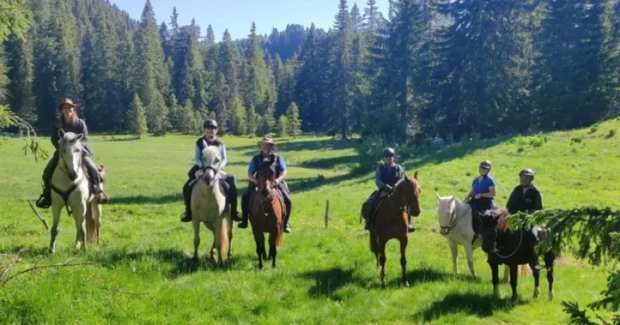 Ain President Rides Horse, Highlights Equestrian Tourism’s Regional Value