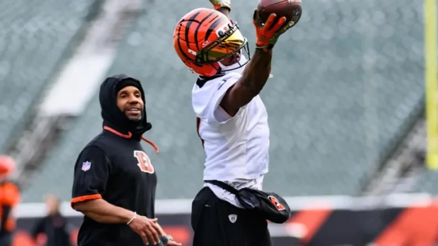 Bengals WR Coach Troy Walters Predicts Special Season, Chooses to Stay