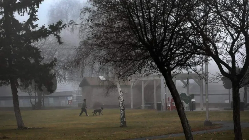 Dense Fog Engulfs Tri-Cities: Commuters Advised to Exercise Caution