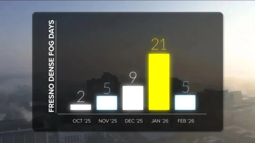 Tule Fog Persists in Valley, Triggers Safety and Health Alerts
