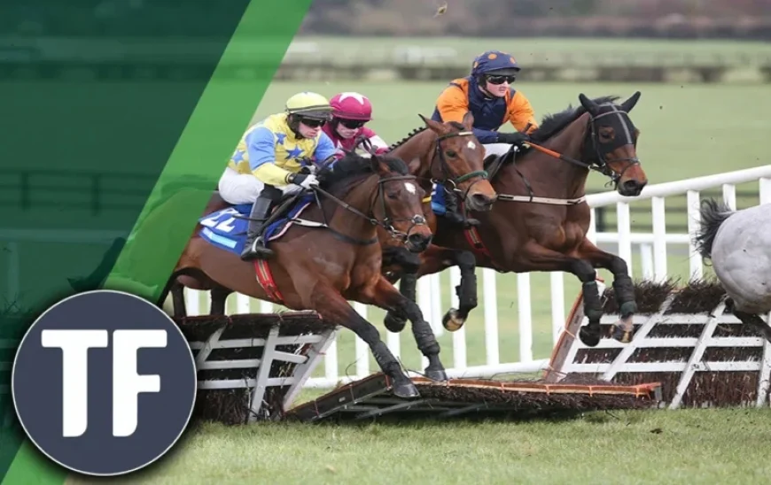 Top Horse Racing Tips: 15/2 Highlight Among Timeform’s Best Bets for Plumpton