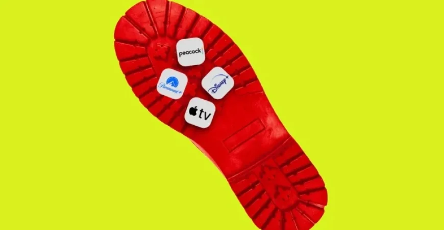 Netflix-Warner Bros. Merger Forces Competing Streamers into Survival Mode