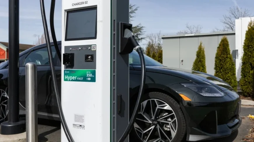 Avoidable Causes of EV Battery Degradation: Are They Worth Addressing?