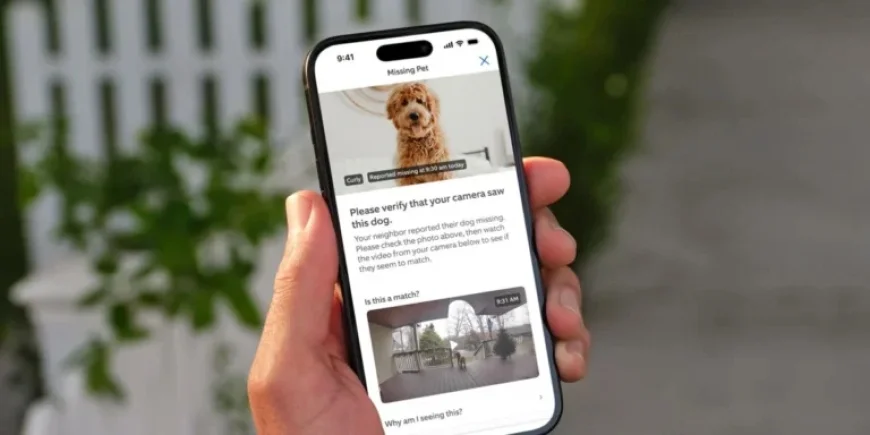 Ring’s Search Party Reunites Over One Lost Dog Daily, Now Open to All