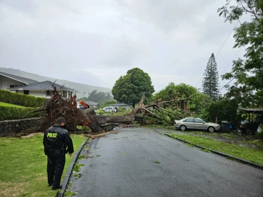 Hawaiʻi Storm Forces State Shutdown, Thousands Without Power