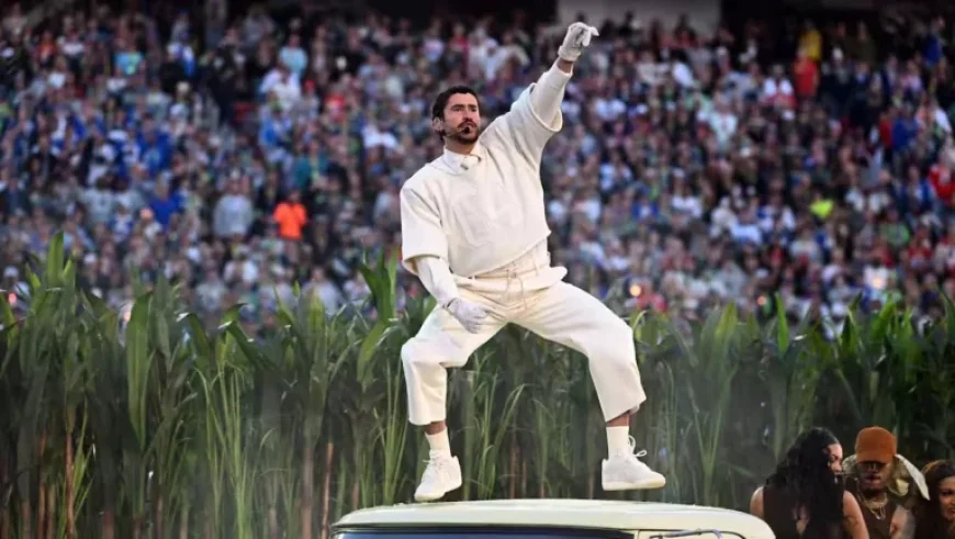 Celebrities Shine at Super Bowl Halftime Show and Stands