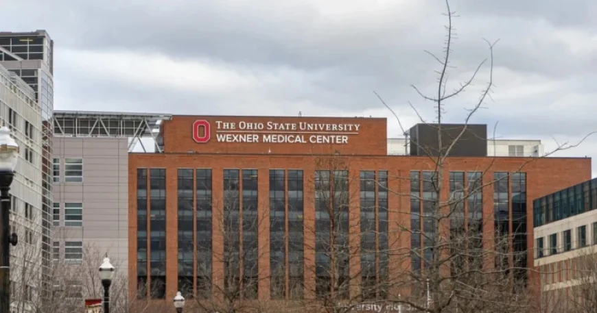 Documents Reveal Ohio State OB-GYN Received Payments from Jeffrey Epstein Firm