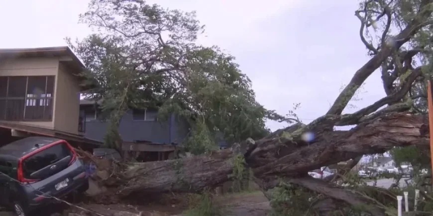 Severe Weekend Storm Causes Damage Across Oahu