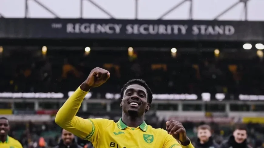 Secret Australian Weapon Shines, Contenders Emerge for World Cup Spot