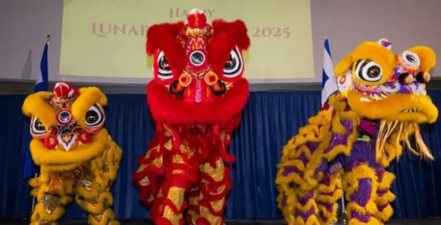 Chinese New Year Traditions: Dos and Don’ts for Prosperity and Luck
