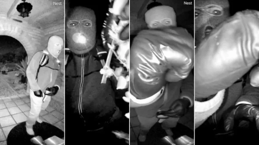 Search for Nancy Guthrie Continues as Person Released After Questioning