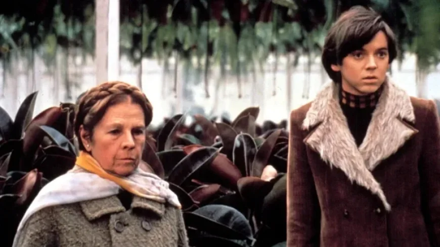 Bud Cort, ‘Harold and Maude’ Icon, Passes Away at 77