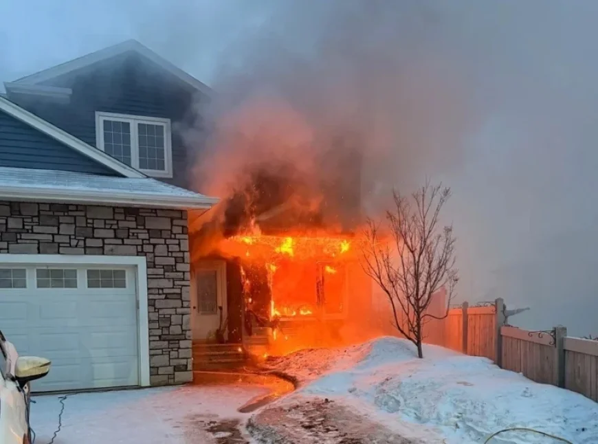 Fort McMurray Firefighters Save Dogs from House Fire