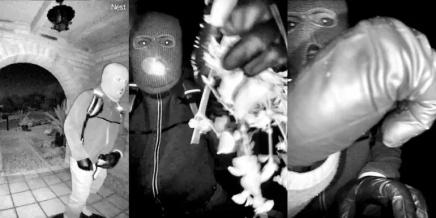 Crypto Wallet Linked to Nancy Guthrie Ransom Shows Activity Amid Suspect Images