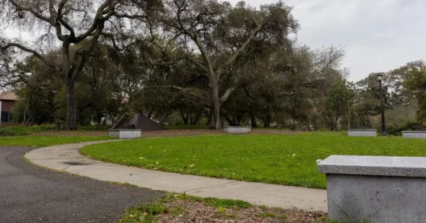 Preserve UC Berkeley’s Innovation and Tradition