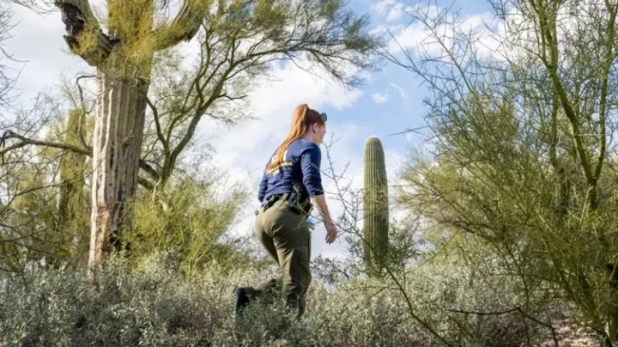 Nancy Guthrie Search Enters 12th Day with Ongoing Updates