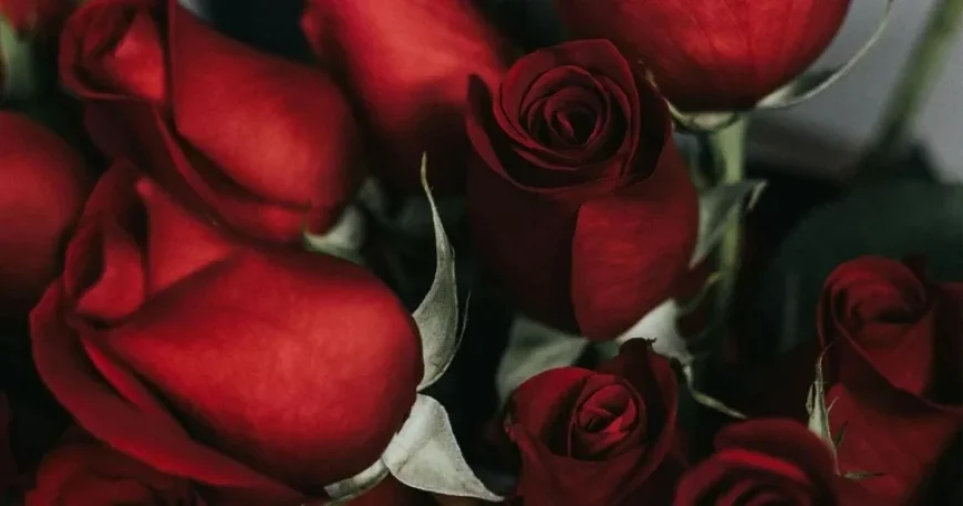 FBI and BBB Warn North Carolinians of Romance Scams Before Valentine’s Day