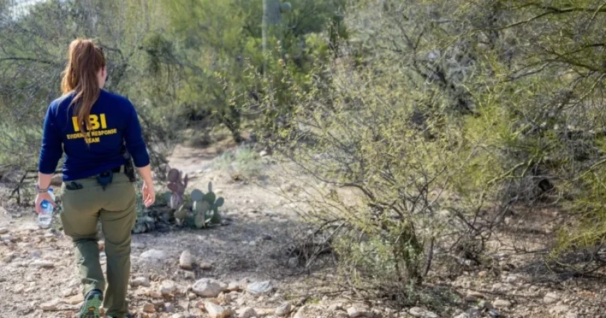 Investigators Find Black Gloves in Nancy Guthrie Search: Sources