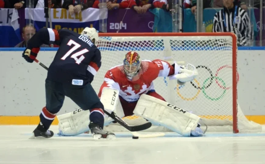 St. Louis Blues Stars Shine at 2014 Winter Olympics