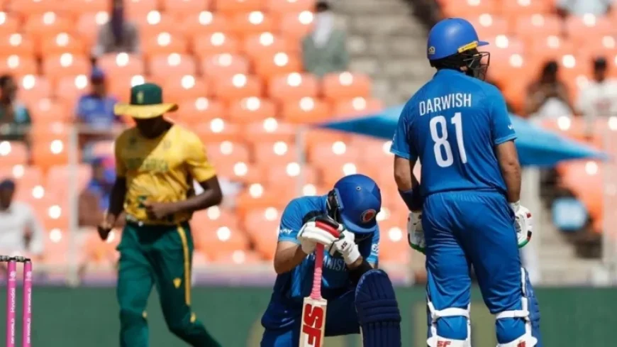 T20 World Cup 2026: Updated Standings After Wins by South Africa, Australia, West Indies