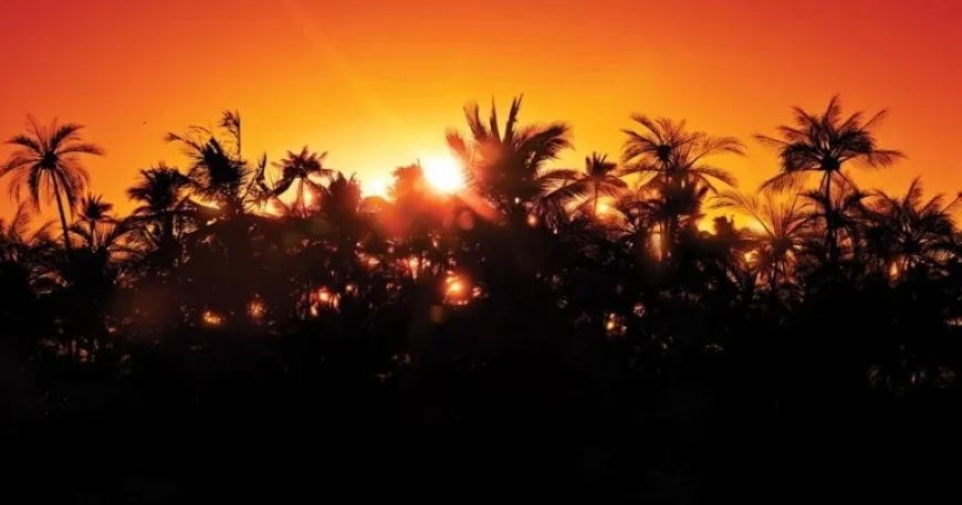 PS5 Games Discounted 75% Before Permanent Delisting