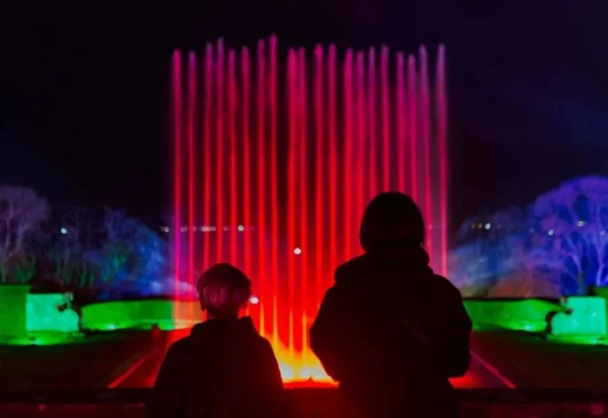Wildlife Park Announces Return of Festive Light Trail