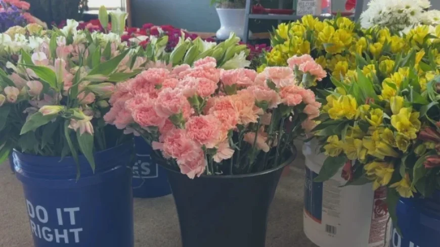 Rising Flower Costs Lead Redding Shops to Promote Budget Blooms, Local Purchases