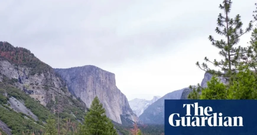 Trump Appoints Hospitality Executive to Head National Park Service