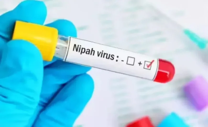 Bengal Reports First Nipah Virus Death, No New Cases Detected