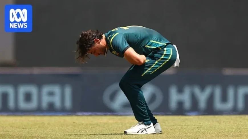 Zimbabwe Targets Big Score as Australia Struggles for Wickets Live