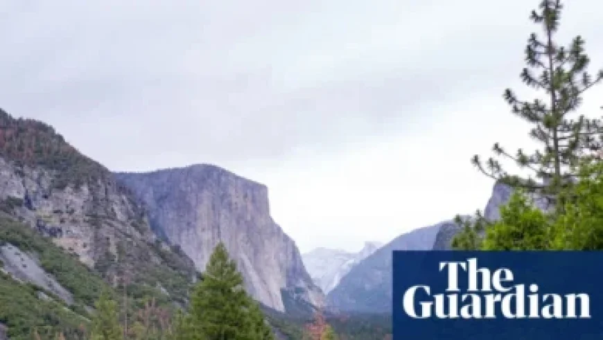 Who is Mishka Silva? Inside Tobey Maguire’s Relationship and Age Gap Debate