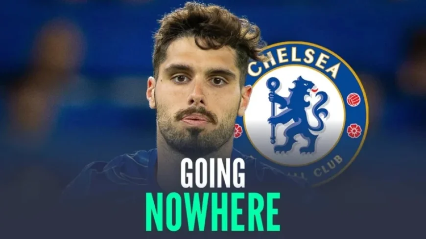 Chelsea’s £70m Winger Transfer Decision Revealed by Sources