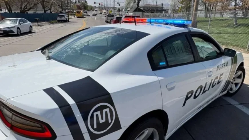 Homeless Man Arrested Again for Digging Under Overpass