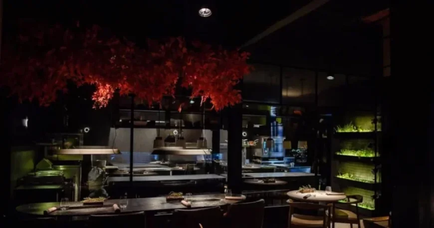 Bad Bunny Selects Michelin-Starred Restaurant for Gourmet Night in Buenos Aires