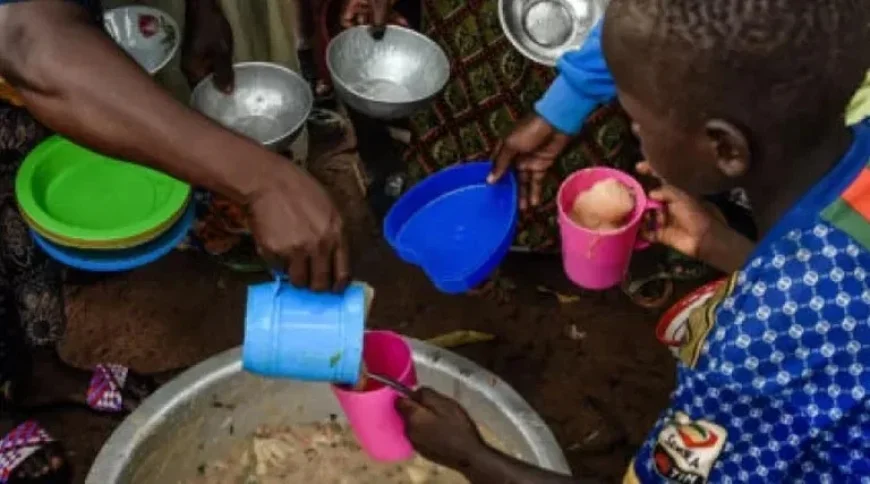 AI Enhances Policy Strategies to Combat Global Food Insecurity