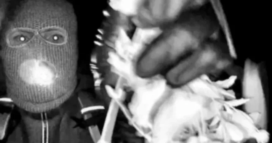 Investigators Probe Second Residence in Nancy Guthrie Kidnapping Case