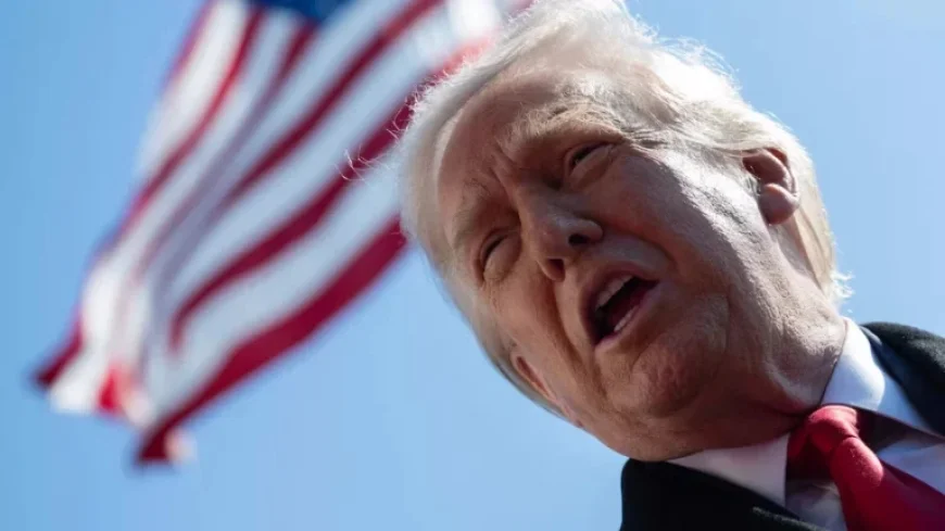 Overwhelmed by Donald Trump?