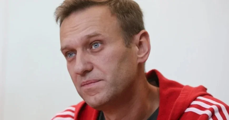 Europeans Claim Navalny Poisoned by Deadly ‘Dart Frog’ Toxin