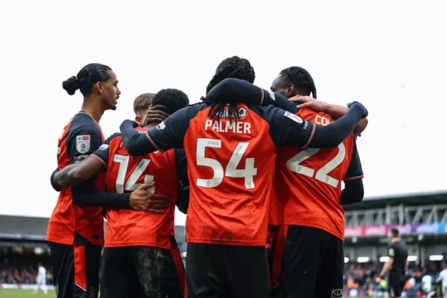 Romance Blooms as Love Fills the Air